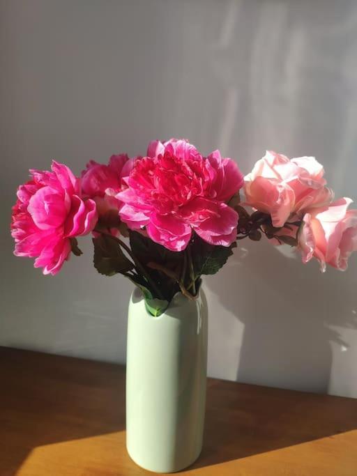Les Coquelicots Apartment Honfleur Ngoại thất bức ảnh